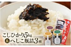 【へしこの町】 米 令和5年産 コシヒカリ5kg ＆ へしこ瓶詰め 3点セット≪ご寄附の翌月下旬頃お届け≫【精米】【福井県美浜町産米】鯖 サバ 福井 美浜 若狭 名産 郷土料理 ぬか漬け 糠漬け 発酵 米麹 つまみ 酒の肴 ご飯のお供 珍味 伝統 スローフード こしひかり[m60-a010]