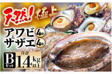【期間限定】天然！極上 アワビ ＆ サザエ セットB【入手困難 産地直送 刺身 お造り おせち バター焼き BBQ あわび 鮑 サザエ さざえ 貝 砂抜き済 海鮮 魚介 酒の肴 つまみ 贅沢 ご褒美 冷凍 福井】[m21-ｍ001_01]