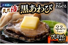 【数量限定】日本海若狭湾の 天然 活黒アワビ プレミアムサイズ 計2.2kg（4個以上）鮮度抜群！ 刺身 お造り バター焼き BBQ 入手困難 あわび アワビ 鮑 クロアワビ 黒あわび [m17-p003]