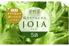 低カリウムレタス 美野菜 「JOIA」 5袋 クリーンルーム栽培 鮮度長持ち 【野菜 生野菜 レタス サラダ お弁当 水耕栽培 洗わず食べられる 時短 付け合わせ】[m40-a009]