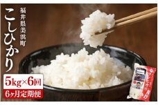 【先行予約】 定期便 ≪6ヶ月連続お届け≫ 米 令和7年産 新米 コシヒカリ 5kg × 6回 （計30kg）精米 福井県美浜町産 【2025年10月下旬以降順次発送予定】 [m60-i001]