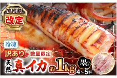 【訳あり】【 数量限定】新鮮 朝獲れ 真イカ (剣先イカ）約1kg たまり醤油と調理方法付 丸ごと 冷凍 真イカ【入手困難 いか 剣先イカ 烏賊 イカ 刺身用 するめいか 海鮮 魚介 魚介類 海の幸 生産者支援 規格外】 [m21-a035]