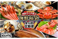 定期便 ≪年6回お届け≫ 海鮮定期便 偶数月にお届け 海鮮福袋 【産地直送 甘えび 甘海老 アマエビ サザエ さざえ セイコガニ かに 蟹 サバ 鯖 海の幸 貝 甲殻類 砂抜き済み 海鮮 魚介 酒の肴 つまみ 絶品 冷凍 福井】 [m17-g005]