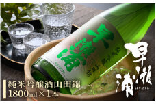 若狭の地酒 「早瀬浦」純米吟醸酒山田錦 1800ml × 1本【入手困難 日本酒 就職祝い 転職祝い ハレの日 ギフト プレゼント お祝い お返し お礼 お中元 お歳暮 父の日 敬老の日】[m06-a002]
