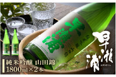 若狭の地酒 「早瀬浦」純米吟醸酒山田錦 1800ml × 2本セット【入手困難 日本酒 就職祝い 転職祝い ハレの日 ギフト プレゼント お祝い お返し お礼 お中元 お歳暮 父の日 敬老の日】 [m06-c001]