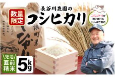 【先行予約】【令和7年産・新米】長谷川農園の コシヒカリ 白米 5kg【2025年9月下旬以降順次発送予定】【お米 こしひかり 5キロ 精米 ブランド米 ふるさと納税米 産地直送】 [m22-a005]