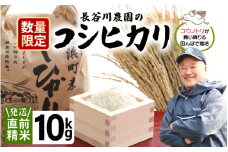 【先行予約】【令和7年産・新米】長谷川農園の コシヒカリ 白米 10kg【2025年9月下旬以降順次発送予定】【お米 こしひかり 10キロ 精米 ブランド米 ふるさと納税米 産地直送】 [m22-a007]