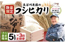 【先行予約】【令和7年産・新米】定期便 ≪3ヶ月連続お届け≫長谷川農園の コシヒカリ 白米 5kg × 3回 (計15kg) 【2025年9月下旬以降順次発送予定】【お米 こしひかり 5キロ 精米 ブランド米 ふるさと納税米 産地直送】 [m22-c002]