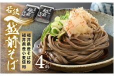 若狭越前そば4人前 1パック250g（めん100g×2、つゆ25g×2）× 2パック【引越し 年越し お中元 お歳暮 母の日 父の日 プレゼント お祝い 引き出物 お返し ギフト ハレの日 子供の日 お礼 敬老の日 そば 蕎麦 ソバ 麺類 小分け 使いやすい】 [m04-a009]