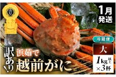 【先行予約】【冷蔵】越前がに 訳あり 足折れ 大 1.0kg以上（茹で前）×3杯【2026年1月上旬以降順次発送予定】 [m21-x008_01]