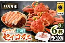 【先行予約】【冷蔵】旬のセイコガニ 中 6杯  計840g以上（茹で前）説明書付き【2025年11月上旬以降順次発送予定】全て地物！ 天然！ ズワイガニメス[m21-x005_11]