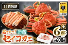 【先行予約】【冷蔵】旬のセイコガニ 小 6杯  計600g以上（茹で前）説明書付き【2025年11月上旬以降順次発送予定】食べ切数量！全て地物！天然！ ズワイガニメス [m21-x003_11]