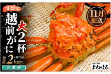 【先行予約】≪浜茹で≫ 天然 越前がに 大サイズ (茹で前約1kg) × 2杯【2025年11月中旬以降順次発送予定】冷蔵便 届いてすぐお召し上がりいただけます！ タグ付 福井を代表する冬の味覚 【越前ガニ  越前蟹 かに ずわい ズワイ 福井】 [m17-x002_11]