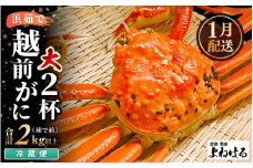 【先行予約】≪浜茹で≫ 天然 越前がに 大サイズ (茹で前約1kg) × 2杯【2026年1月上旬以降順次発送予定】冷蔵便 届いてすぐお召し上がりいただけます！ タグ付 福井を代表する冬の味覚 【越前ガニ  越前蟹 かに ずわい ズワイ 福井】 [m17-x002_01]