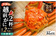 【先行予約】≪浜茹で≫ 天然 越前がに 大サイズ (茹で前約1kg) × 2杯【2026年2月上旬以降順次発送予定】冷蔵便 届いてすぐお召し上がりいただけます！ タグ付 福井を代表する冬の味覚 【越前ガニ  越前蟹 かに ずわい ズワイ 福井】 [m17-x002_02]