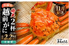 【先行予約】≪浜茹で≫ 天然 越前がに 特大 (茹で前1.1～1.3kg) × 2杯 【2025年11月中旬以降順次発送予定】冷蔵ですので、届いてすぐお召し上がりいただけます！ タグ付 福井を代表する冬の味覚！【越前ガニ 越前蟹 かに ずわい ズワイ 福井】[m17-x004_11]
