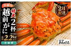 【先行予約】≪浜茹で≫ 天然 越前がに 特大 (茹で前1.1～1.3kg) × 2杯 【2026年2月上旬以降順次発送予定】冷蔵ですので、届いてすぐお召し上がりいただけます！ タグ付 福井を代表する冬の味覚！【越前ガニ 越前蟹 かに ずわい ズワイ 福井】[m17-x004_02]