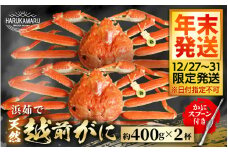 【先行予約】≪浜茹で≫ 地物！天然！はるか丸厳選！越前がに 約400g × 2杯【年末発送12/27～12/31限定発送！】 獲れたて！茹でたてをお届けします！【冷蔵 本場の味 ボイル 越前ガニ 蟹 茹で ずわいがに ズワイガニ】[m36-x001_99]