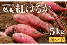 大谷原の熟成さつまいも (5kg 洗い芋) 約25本【入手困難・数量限定】【サツマイモ 芋 イモ 紅はるか べにはるか 熟成 甘い おいしい 国産 産地直送】 [m23-a005]