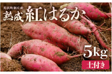 大谷原の熟成さつまいも (5kg 土付き) 約25本 【入手困難・数量限定】【サツマイモ 芋 イモ 紅はるか べにはるか 熟成 甘い おいしい 国産 産地直送】 [m23-a004]