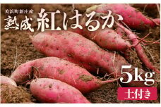 【先行予約】大谷原の熟成さつまいも (5kg 土付き) 約25本【2025年10月下旬以降順次発送予定】 【入手困難・数量限定】【サツマイモ 芋 イモ 紅はるか べにはるか 熟成 甘い おいしい 国産 産地直送】 [m23-a020]