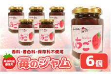 【福井県美浜町産】 苺を使った 苺ジャム × 6個セット 着色料・保存料不使用！ [m03-a048]