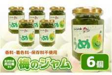 【福井県産】梅を使った 梅ジャム× 6個セット 着色料・保存料不使用！ [m03-a047]
