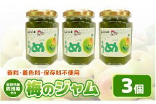 【福井県産】梅を使った 梅ジャム× ３個セット 着色料・保存料不使用！ [m03-a046]