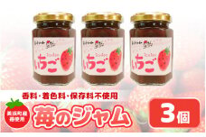 【福井県美浜町産】 苺を使った 苺ジャム × 3個セット 着色料・保存料不使用！ [m03-a045]