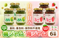 【福井県産】フルーツを使った 梅＆苺のジャム 計6個セット (梅ジャム3個 苺ジャム3個) 着色料・保存料不使用！ [m03-a049]