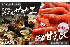 若狭素潜り天然 サザエ (ボイル済) と 越前甘えび卵なし大サイズ【冷凍 ボイル サザエ 甘えび 若狭湾 さざえ】 [m17-b009]