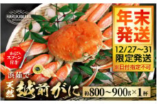 【先行予約】≪浜茹で≫ 地物！天然！越前がに 生の状態で約800g～900g × 1杯【年末発送12/27～12/31限定発送！】 かにスプーン付き はるか丸厳選！ 獲れたて！茹でたてをお届けします！【冷蔵 本場の味 ボイル 越前ガニ 蟹 茹で ずわいがに ズワイガニ 福井 日本海】[m36-x003_99]