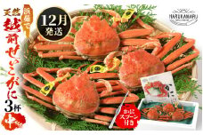 【先行予約】≪浜茹で≫ 天然！越前 せいこがに 中サイズ × 3杯 (生の状態で1杯150g以上)【2025年12月上旬以降順次発送予定】かにスプーン付き はるか丸厳選！獲れたて！茹でたて！新鮮！ 【冷蔵 本場の味 ボイル 蟹 茹で ずわいがに ズワイガニ 雌 メス 福井 日本海】[m36-x007_12]