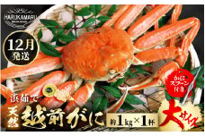 【先行予約】≪浜茹で≫ 地物！天然！越前がに 大サイズ（約1kg） × 1杯【2025年12月上旬以降順次発送予定】かにスプーン付き  はるか丸厳選！獲れたて！茹でたてをお届けします！【冷蔵 本場の味 ボイル 越前ガニ 蟹 茹で ずわいがに ズワイガニ 福井 日本海】 [m36-x005_12]