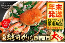 【先行予約】≪浜茹で≫ 地物！天然！越前がに 大サイズ（約1kg） × 1杯【年末発送12/27～12/31限定発送！】かにスプーン付きはるか丸厳選！獲れたて！茹でたてをお届けします！【冷蔵 本場の味 ボイル 越前ガニ 蟹 茹で ずわいがに ズワイガニ 福井 日本海】 [m36-x005_99]