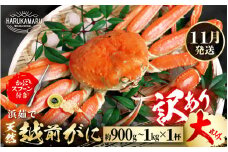 【先行予約】【訳あり】≪浜茹で≫ 天然 越前がに 大サイズ × 1杯【2025年11月中旬以降順次発送予定】かにスプーン付き  はるか丸厳選！【足折れ】【冷蔵 本場の味 ボイル 越前ガニ 蟹 茹で ずわいがに ズワイガニ 福井 日本海】[m36-x006_11]