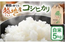 【先行予約】【令和7年産 新米】越地 (こいち) 産 コシヒカリ (白米) 計5kg【2025年9月中旬以降順次発送予定】 [m24-a010]