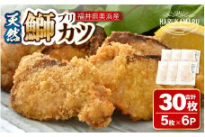 天然！美浜町産「日向ぶり」 ぶりカツ 約900g（約150g × 6袋）【ブランド ぶり ブリ 鰤 海鮮 海産物 魚介類 ブリカツ カツレツ 人気 惣菜 おかず おつまみ 国産 福井 冷凍 揚げ物 フライ 簡単調理】 [m36-a010]