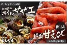 若狭素潜り天然 サザエ (ボイル済)と 越前甘えび卵あり大サイズ 【冷凍 ボイル サザエ 甘えび 若狭湾 さざえ】[m17-a064]