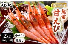 大好評！天然 越前甘えび（卵なし）中サイズ計2kg（500g × 4箱）（合計約140尾入り）解凍方法説明書付き 船内凍結 酸化防止剤不使用！ 甘えび本来の味をお楽しみください 【えび エビ 海老 甘エビ 甘えび 海鮮 お刺身 魚介 おせち 無添加 冷凍 福井県産】[m17-d009]