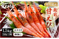 大好評！天然 越前甘えび（卵なし）大サイズ計1.5kg（500g × 3箱）（合計約90尾入り）解凍方法説明書付き 船内凍結 酸化防止剤不使用！ 甘えび本来の味をお楽しみください 【えび エビ 海老 甘エビ 甘えび 海鮮 お刺身 魚介 おせち 無添加 冷凍 福井県産】[m17-d007]