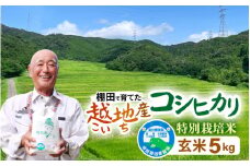 【令和6年 新米】越地 (こいち) 産 特別栽培米 コシヒカリ【玄米】 計5kg [m24-a005]