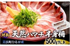 【先行予約】天然！地物！ひるがのハマチ 柵2本【合計500g以上】【2025年11月以降順次発送予定】はまち ハマチ ぶり ブリ 鰤 出世魚 しゃぶしゃぶ 照り焼き 塩焼き 煮付け 生食 刺身 海鮮丼 日向 福井 美浜 海鮮 冷凍 旬 プレゼント [m36-a029]