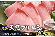 【先行予約】天然！地物！ひるがの春ぶり 柵3本【合計800g以上】【2026年5月下旬以降順次発送予定】【照り焼き ぶり大根 ぶりしゃぶ ぶり ブリ 鰤 ブリトロ ぶりとろ 生食 刺身 海鮮丼 日向 福井 美浜 海鮮 冷凍 旬 プレゼント】 [m36-b012]