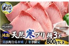 【先行予約】天然！地物！ひるがの寒ぶり 柵3本【合計800g以上】【2025年12月中旬以降順次発送予定】【ブランド 寒ブリ 寒鰤 かんぶり ぶり ブリ 鰤 ブリトロ ぶりとろ 新鮮 生食 刺身 海鮮丼 ぶりしゃぶ 日向 福井 冬の味覚 海鮮 冷凍 プレゼント】 [m36-b013]