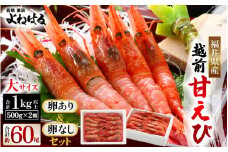 天然！越前甘エビ 約1kg【大サイズ 卵あり&卵なし】セット【えび エビ 海老 甘エビ 甘えび 子持ち 海鮮 お刺身 おせち 無添加 福井県産 国産】 [m17-c016]