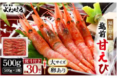 お世話になったあの方へ☆【のし付き】天然！越前甘エビ【大サイズ・卵あり】500g/1箱【えび エビ 海老 甘エビ 甘えび 子持ち 海鮮 お刺身 おせち 無添加 福井県産 国産】 [m17-a063]