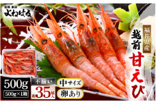 天然！越前甘えび(卵あり)中サイズ 500g × 1箱(約35尾入り)【不揃い】訳あり 数量限定 解凍方法説明書付き 船内凍結 酸化防止剤不使用！えび エビ 海老 甘エビ 甘えび 人気 海鮮 お刺身 魚介 おせち 無添加 冷凍 福井県産 [m17-a061]