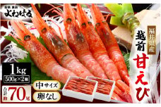 大好評!よねはるお薦めの越前甘えび (卵なし) 中サイズ 計約1kg (約500g × 2箱)でお届けします ! 解凍方法説明書付き 船内凍結 酸化防止剤不使用！甘エビ本来の味をお楽しみください【えび エビ 海老 甘エビ 甘えび 海鮮 お刺身 魚介 おせち 無添加 冷凍 福井県産】 [m17-b011] 