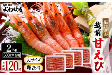 大好評！天然 越前甘エビ（卵あり）大サイズ計2kg（500g × 4箱）（合計約120尾入り）解凍方法説明書付き 船内凍結 酸化防止剤不使用 甘エビ本来の味をお楽しみください【 えび エビ 海老 甘エビ 甘えび 海鮮 お刺身 魚介 おせち 無添加 冷凍 】 [m17-e006]
